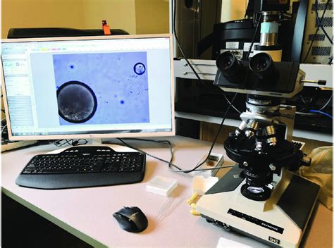 Microscope Computer Camera 的图像结果