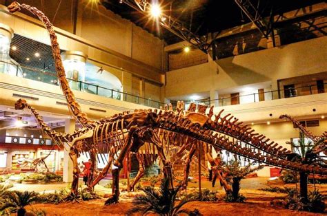 2019自贡恐龙博物馆-旅游攻略-门票-地址-问答-游记点评，自贡旅游旅游景点推荐-去哪儿攻略