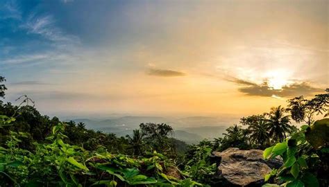Kannur To Wayanad Road Trip 2026 - Best Time and Top Tourist Attractions