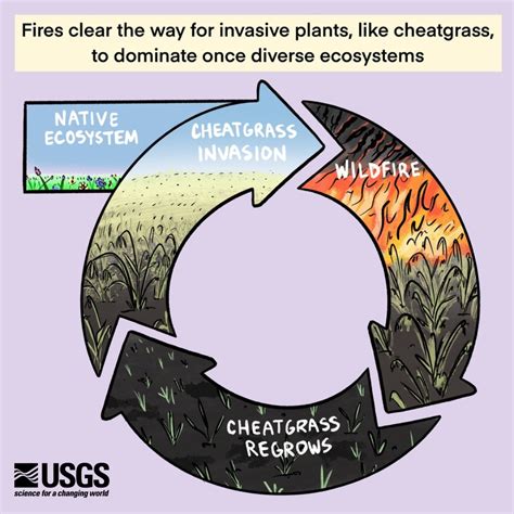 Climate Change and Wildfire in Northwest Rangelands | USDA Climate Hubs