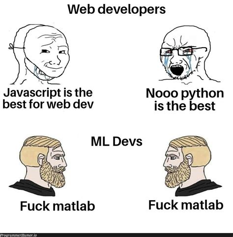 Image result for Python Developer JavaScript Meme