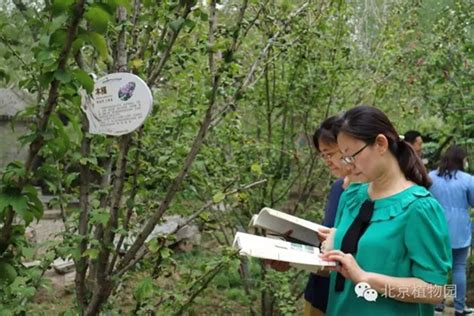 《红楼梦植物大观》新书首发，国内首个红楼梦植物展区正式亮相-中国植物园联盟
