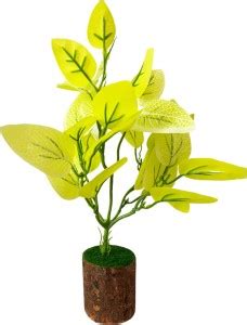 BLUE BIRD Yellow Croton Plant with Natural Wooden Trunk Pot Artificial ...