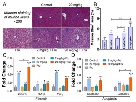 Foodborne TiO2 Nanoparticles Induced More Severe Hepatotoxicity in ...