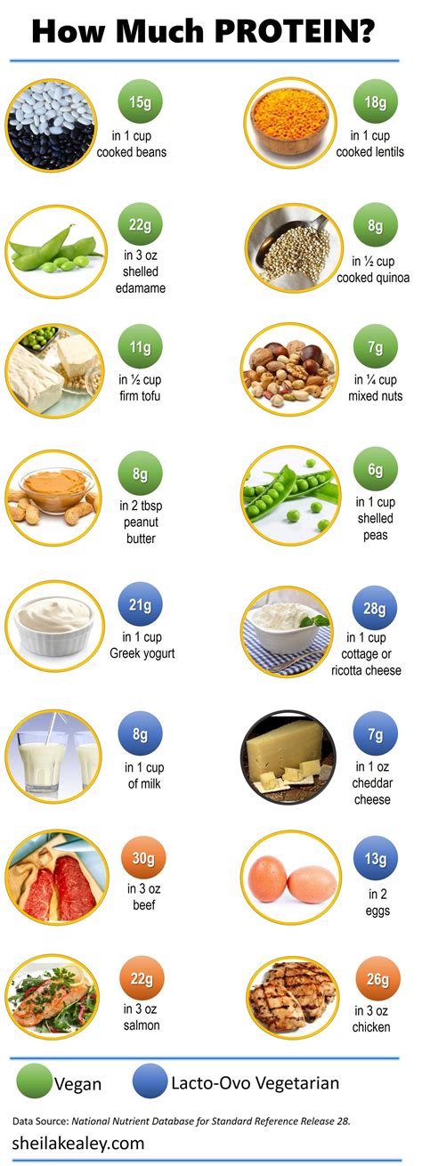 What Foods Are Good Sources of Protein? - Sheila Kealey
