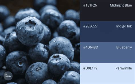 Image result for How to Create Color Combinations