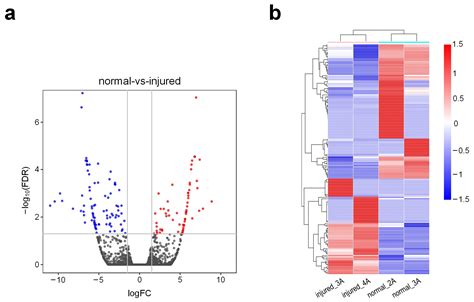Exploring Relevant mRNAs and miRNAs in Injured Urethral Tissues of Rats ...
