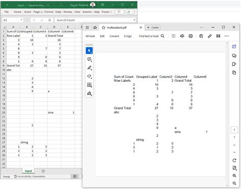 Python CSV to PDF Tutorial 的图像结果