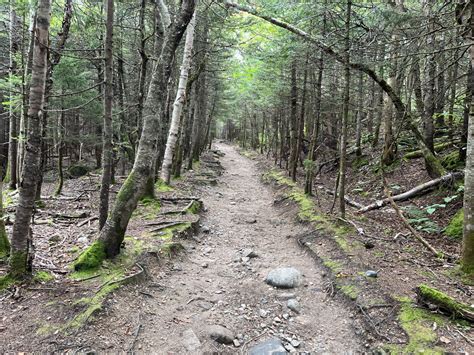 Hiking Mt. Willard NH for an Incredible and Iconic New Hampshire View ...