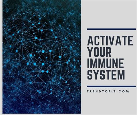 Image result for Immunity Exercise