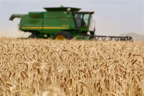 Agriculture 的图像结果