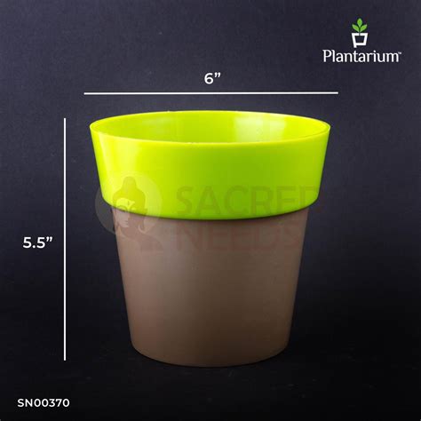 PVC 35A Dual Colour Pot – 5.5 Inch Height | Multi-Colored Plastic Plan ...