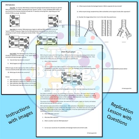 Image result for DNA Replication Lab