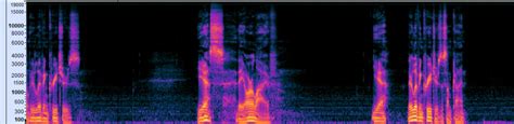 Audacity Spectrogram How To 的图像结果