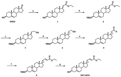 Biomolecules | Special Issue : Molecular and Cellular Mechanisms of ...