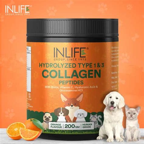 Buy INLIFE COLLAGEN FOR DOGS & CATS| HYDROLYZED COLLAGEN POWDER FOR ...