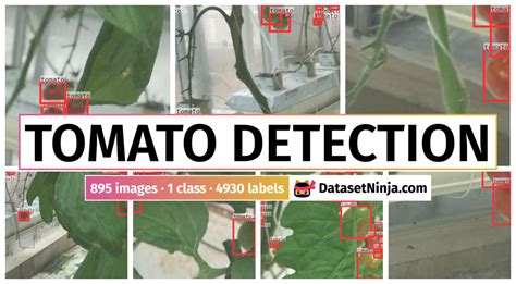 Tomato Detection - Dataset Ninja