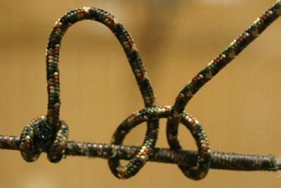 Bow String D-loop 的图像结果