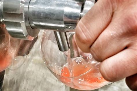 Lakeside Cellars - Osoyoos | Tripadvisor