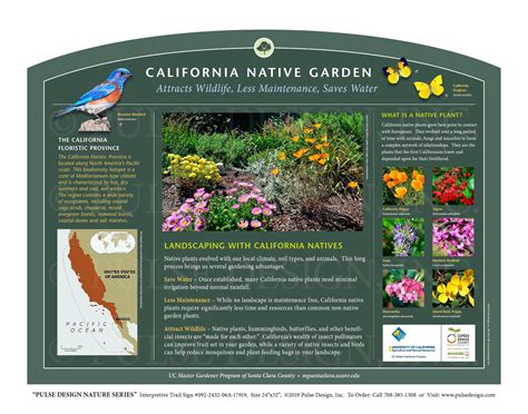 California Native Plant Identification Guide California Card