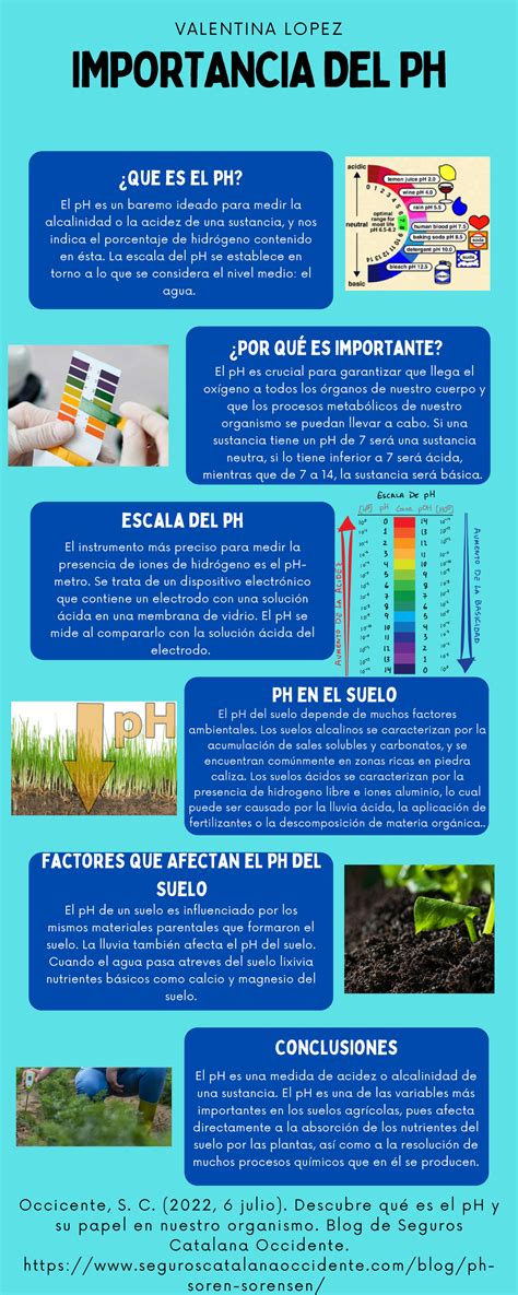 Infografía Importancia DEL Ph - IMPORTANCIA DEL Ph V A L E NT INA L OPE ...