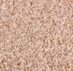 Image result for True Form Runner Treadmill