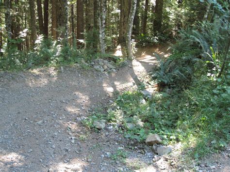 Yo Eddy !!: Sandy Ridge Trail System - Sandy, Oregon