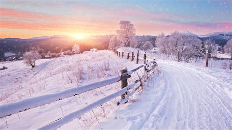 Winter landscape with road and trees covered with snow | Windows ...
