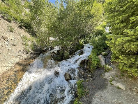 Grove Creek Spring and Indian Campground Trail: A Utah Hike Steeped in ...