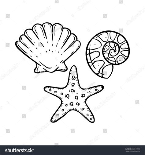 Image result for Shell Drawing Sheet