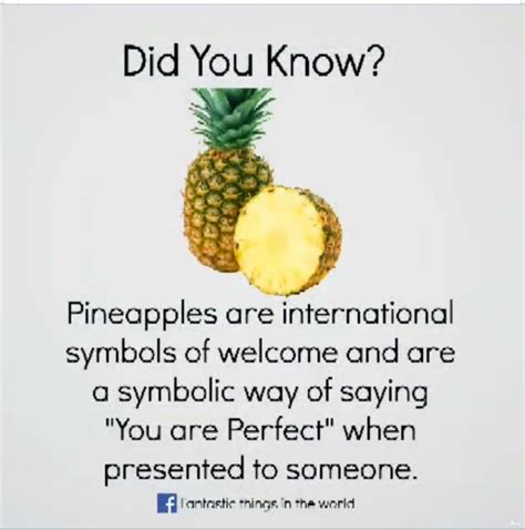 Pin by Camille Robertson on Pineapples | Pineapple quotes inspiration ...