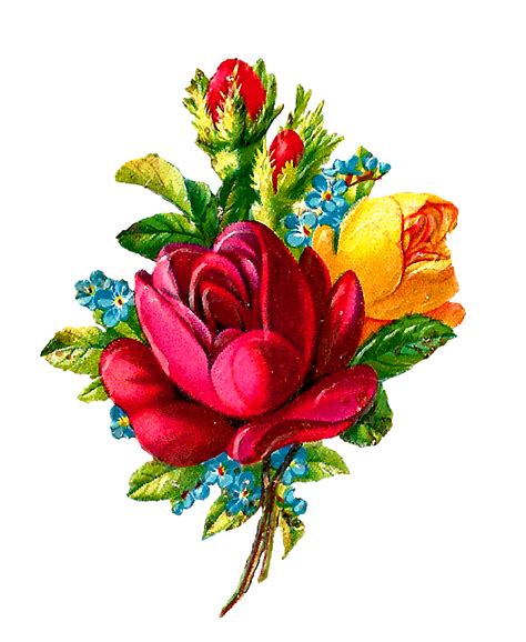Antique Images: Digital Red Rose Clip Art Flower Download Botanical Artwork