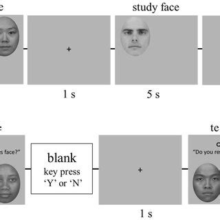 Global Local Task 的图像结果
