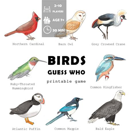 bird picture quiz and answers