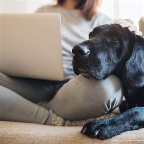 Image result for NHS Remote Setup