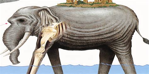 One Piece: How A Retcon Almost Ruined This Majestic Beast