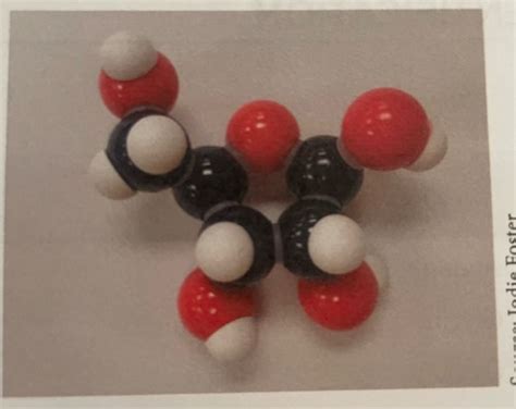 Image result for Macromolecules Functional Groups