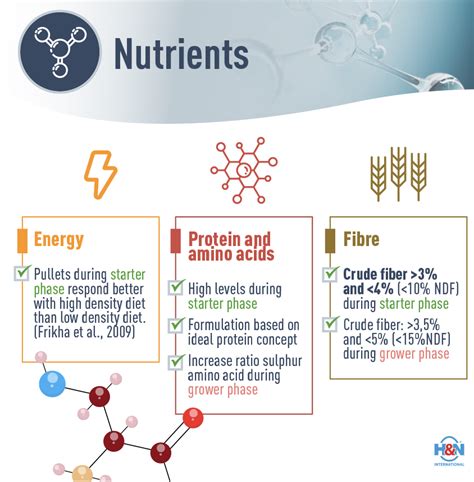 Image result for Which Macronutrient Builds All Structures