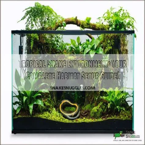 Image result for Set Up Python Snake Environment