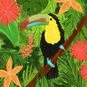 Biology meets language immersion: The new Tufts in Costa Rica summer ...