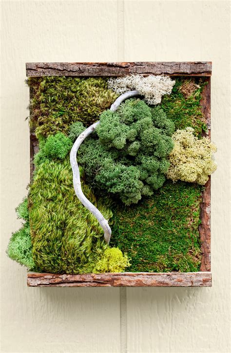 Favorite Moss Wall Hanging Wayfair Artificial Plants