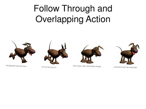 Follow-Up Animation 的图像结果