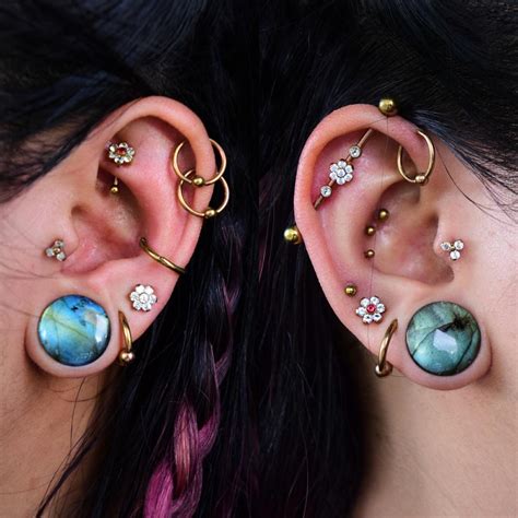 ear piercing - industrial, conch, rook, tragus, helix, stretched lobes ...