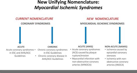 Nomenclature