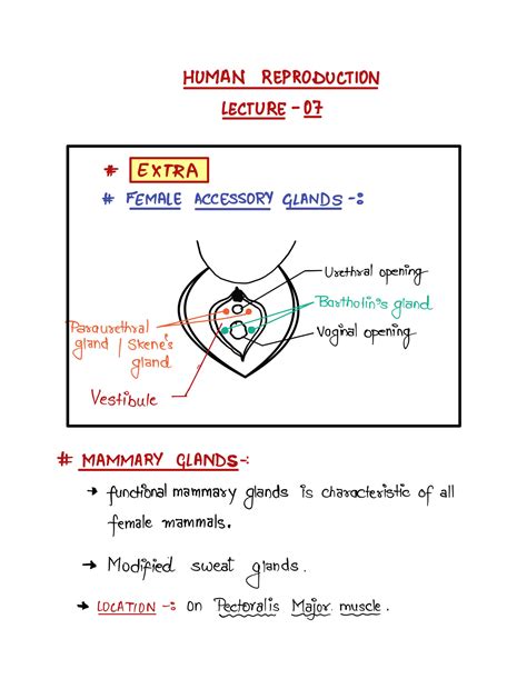 Image result for Isinamuva Human Reproduction Notes