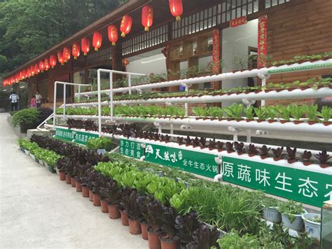 重庆生态农业基地，水果蔬菜基地，重庆原蔬味现代农业发展有限公司