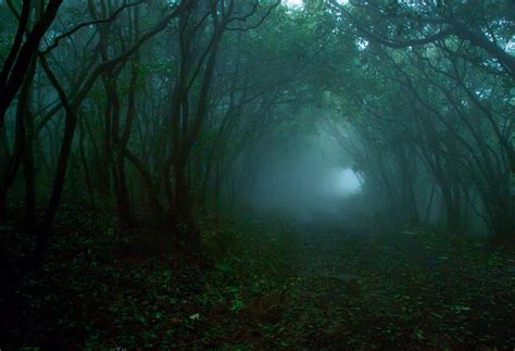 Malabar Natural History Society