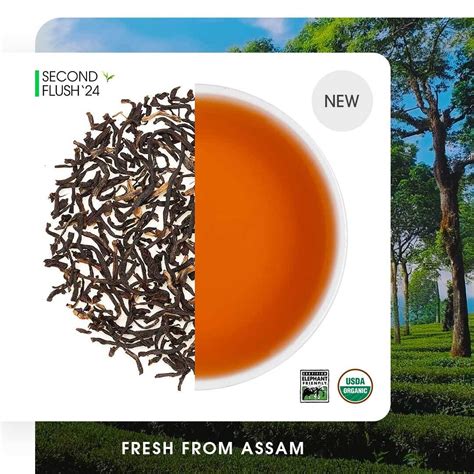 Buy 2024 Assam Banaspaty Summer Black Tea Online | Teabox