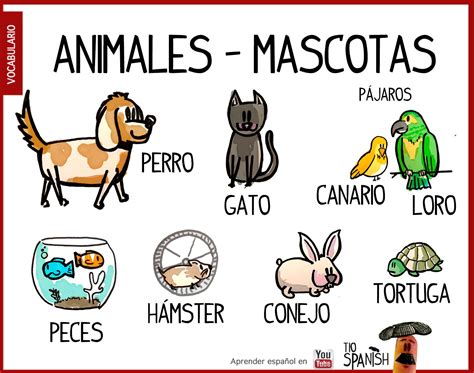 Las mascotas, animales domésticos en español. Vocabulario español ...