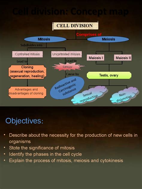 Cell Cycle Concept Map Biology 的图像结果